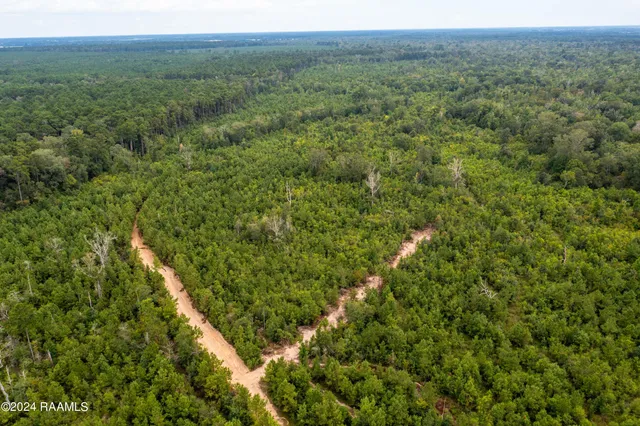 $1,025,500 | 1 Vie Terre Beau Road, Basile, LA 70515