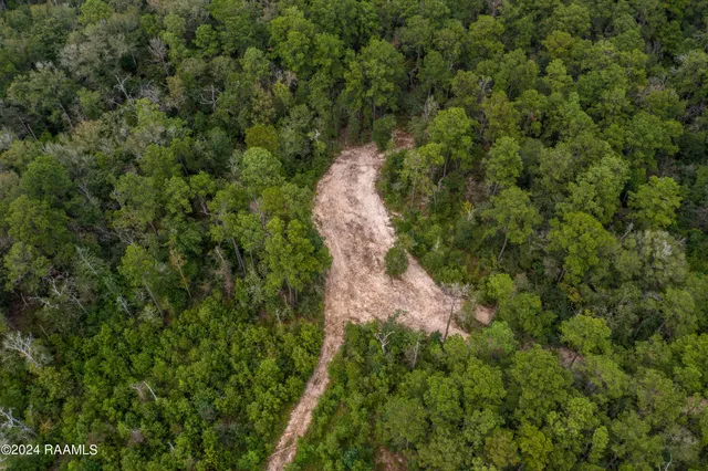 $1,025,500 | 1 Vie Terre Beau Road, Basile, LA 70515