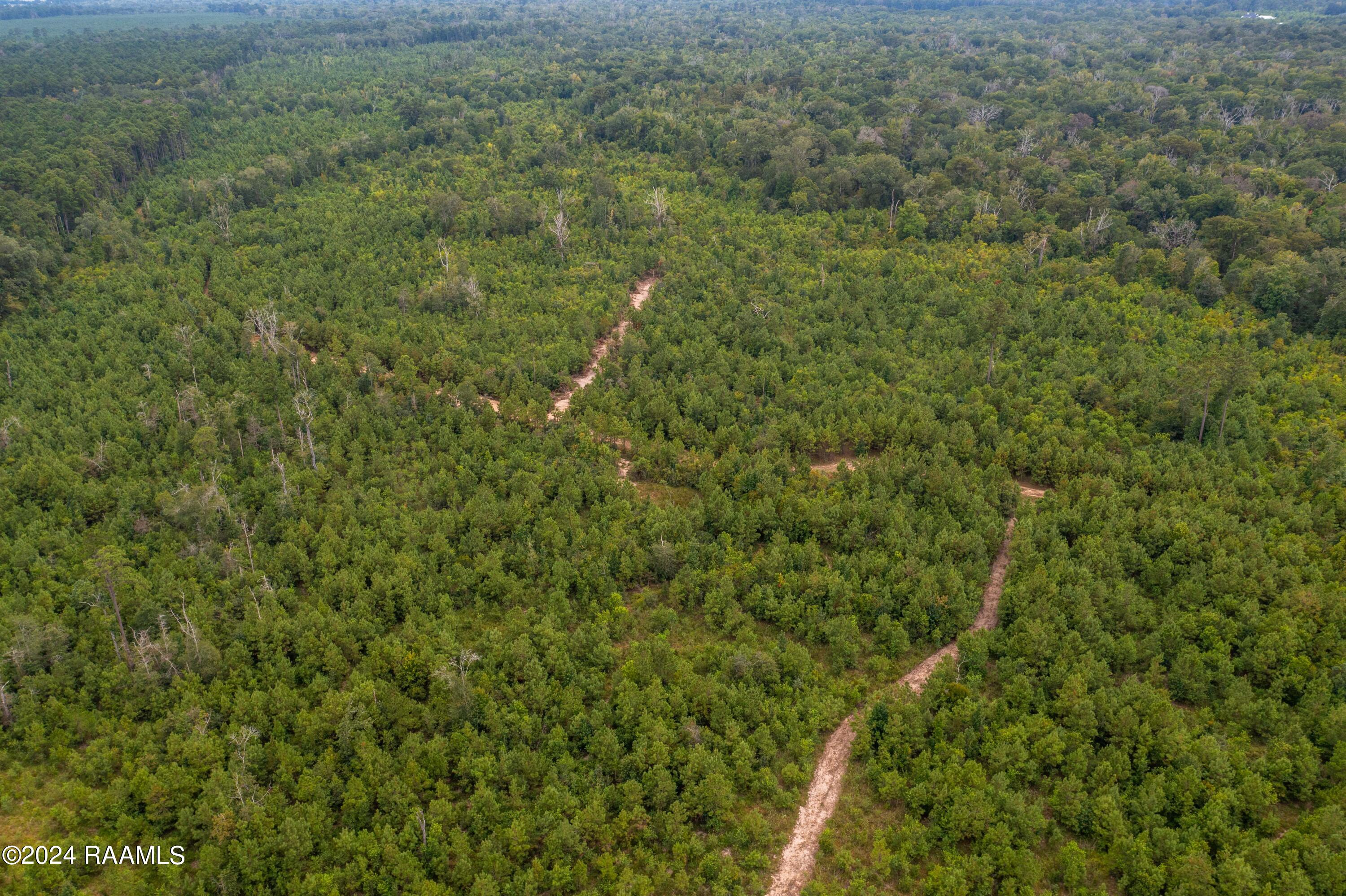 1 Vie Terre Beau Road Basile, LA 70515 - Photo 31 of 36 AcadiaWoods-43