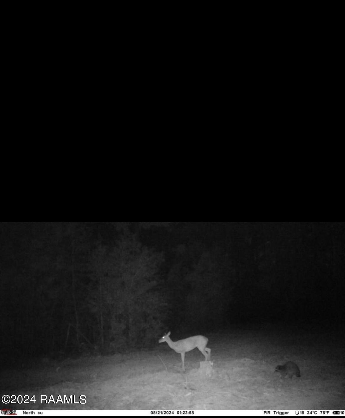 1 Vie Terre Beau Road Basile, LA 70515 - Photo 35 of 36 IMG_1509