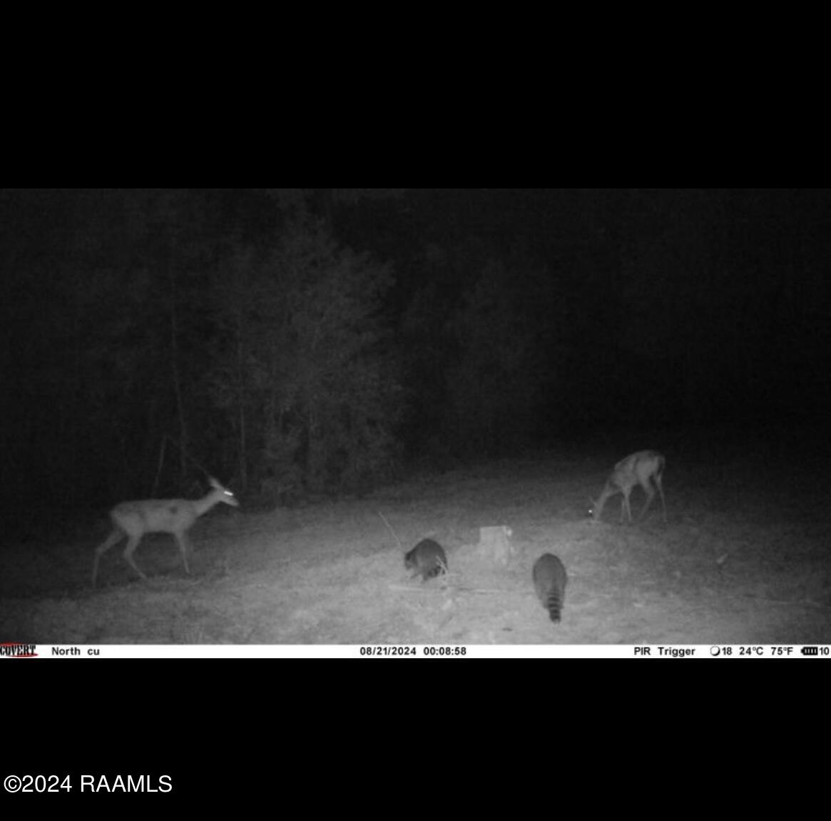 1 Vie Terre Beau Road Basile, LA 70515 - Photo 36 of 36 IMG_1510