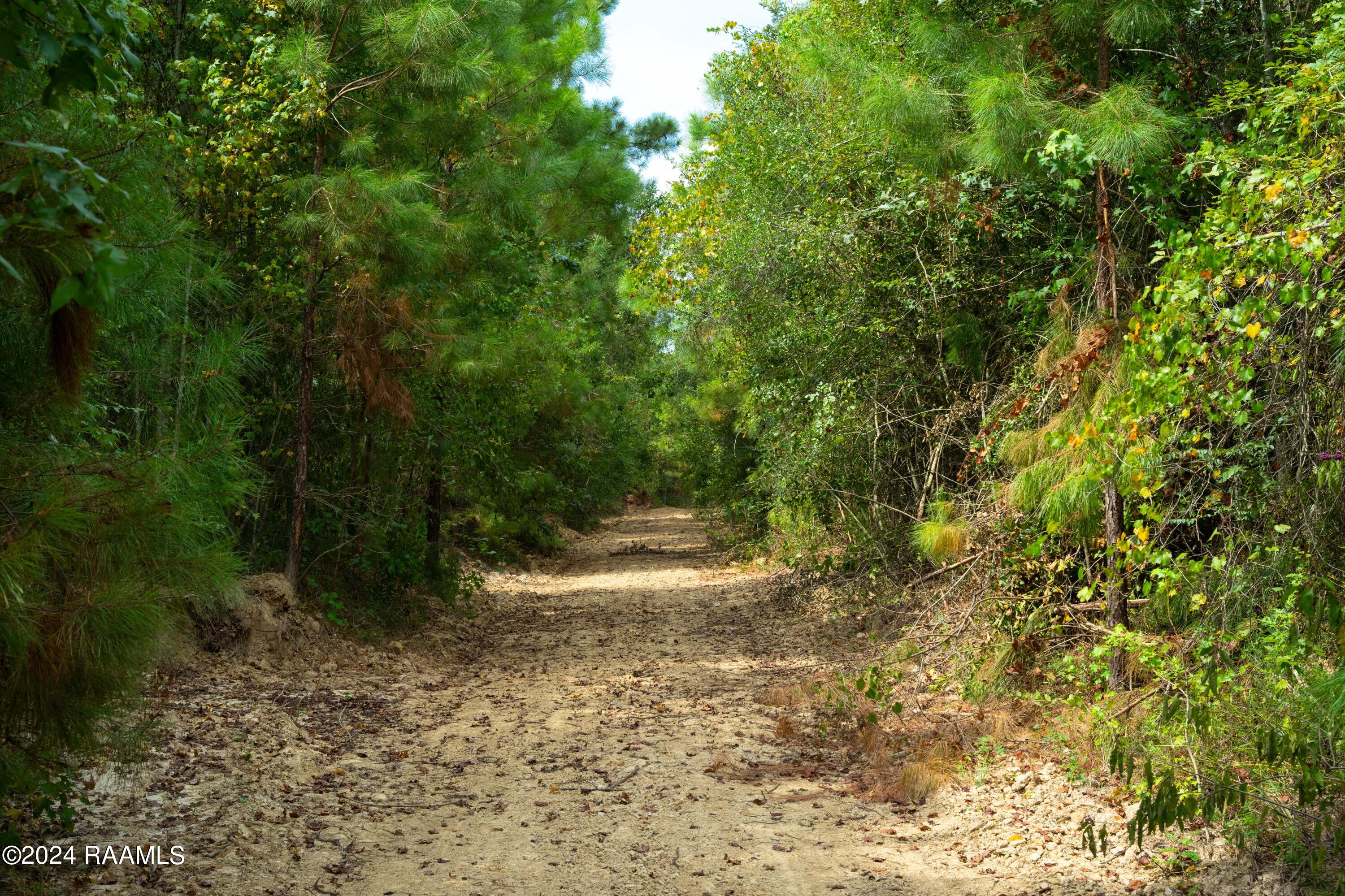 1 Vie Terre Beau Road Basile, LA 70515 - Photo 5 of 36 AcadiaWoods-6