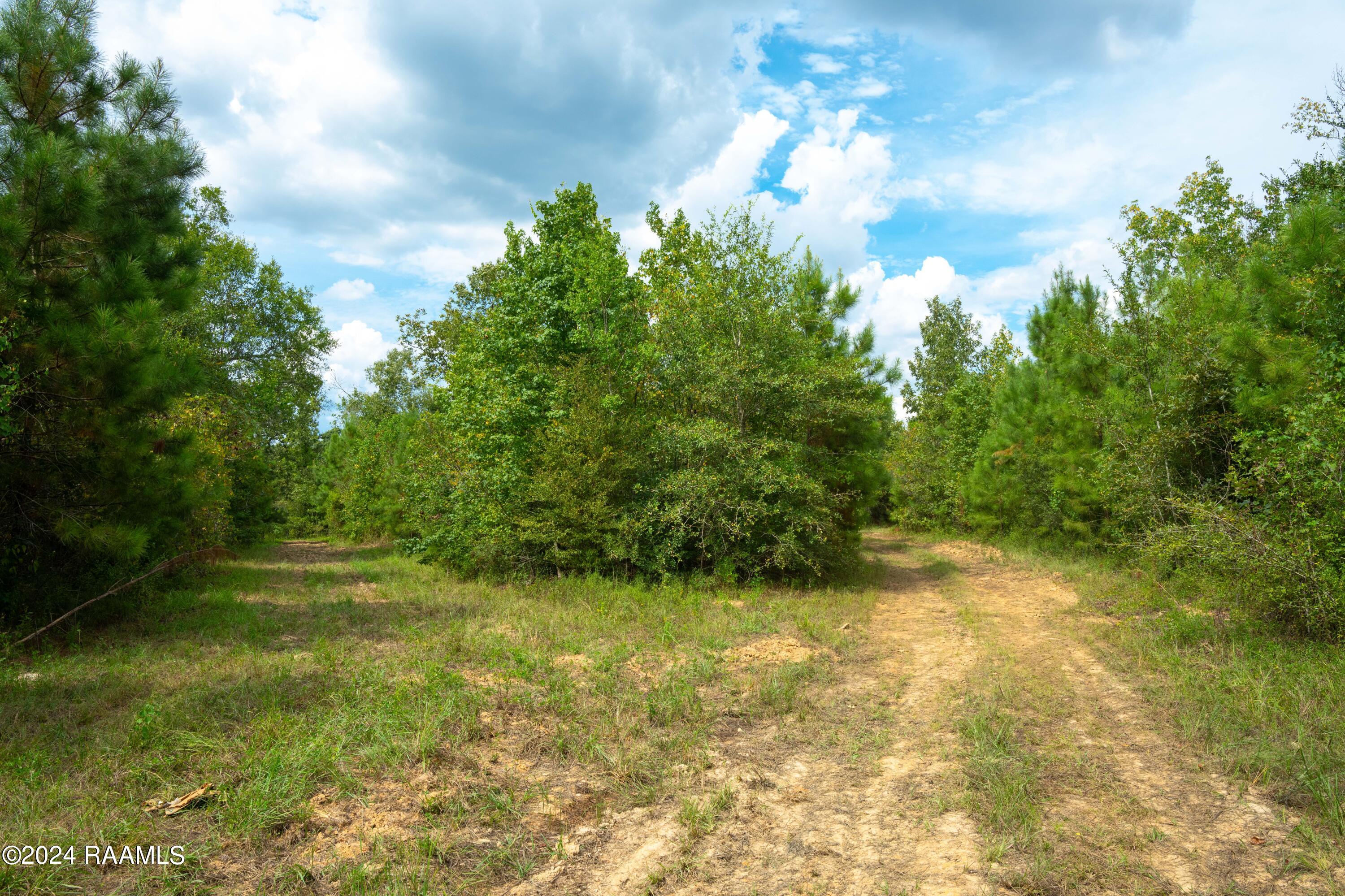 1 Vie Terre Beau Road Basile, LA 70515 - Photo 6 of 36 AcadiaWoods-7