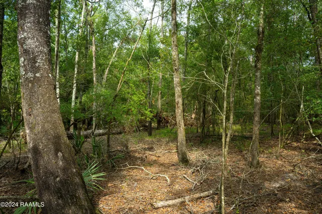 $1,025,500 | 1 Vie Terre Beau Road, Basile, LA 70515