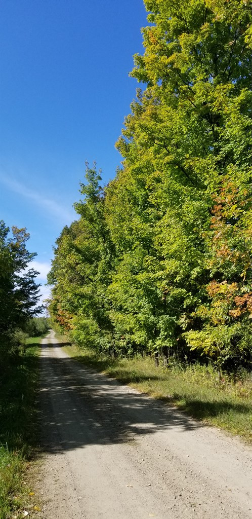 . Shee Woods Road Chateaugay, NY 12920 - Photo 9 of 14
