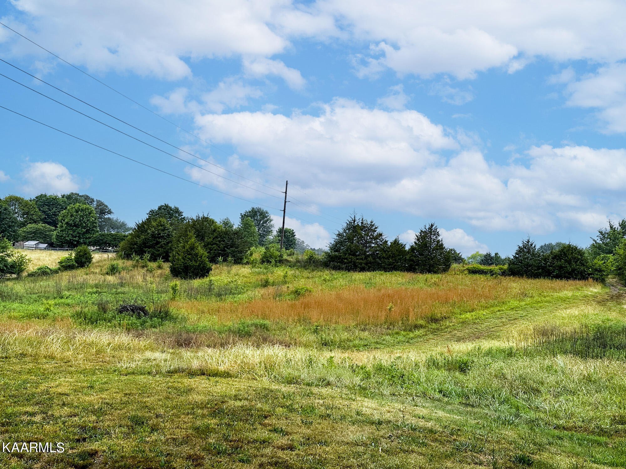 Tarr Road Talbott, TN 37877 - Photo 13 of 20 14