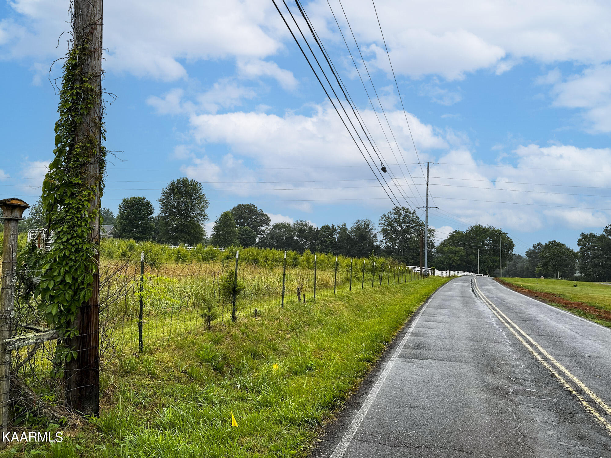 Tarr Road Talbott, TN 37877 - Photo 15 of 20 IMG_7234
