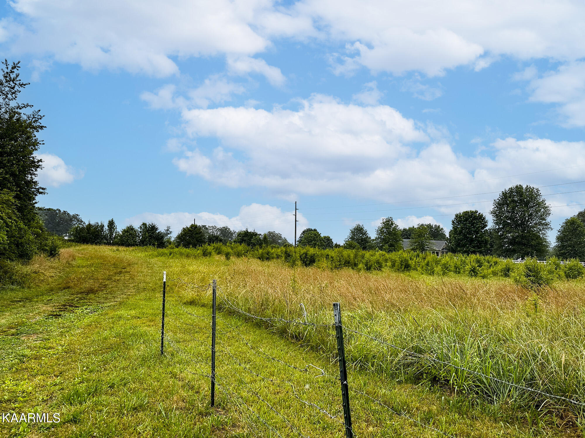 Tarr Road Talbott, TN 37877 - Photo 7 of 20 8