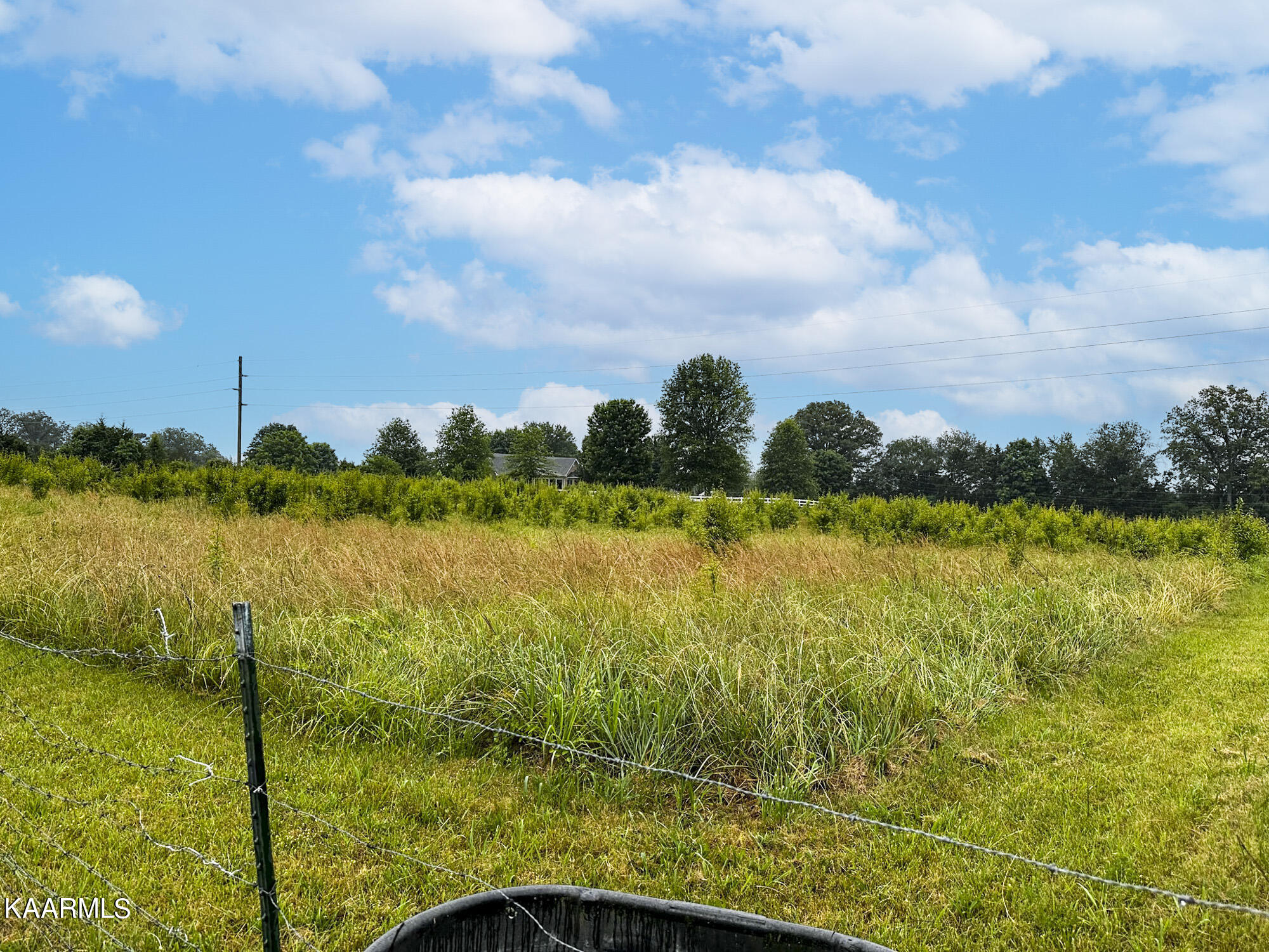 Tarr Road Talbott, TN 37877 - Photo 8 of 20 9