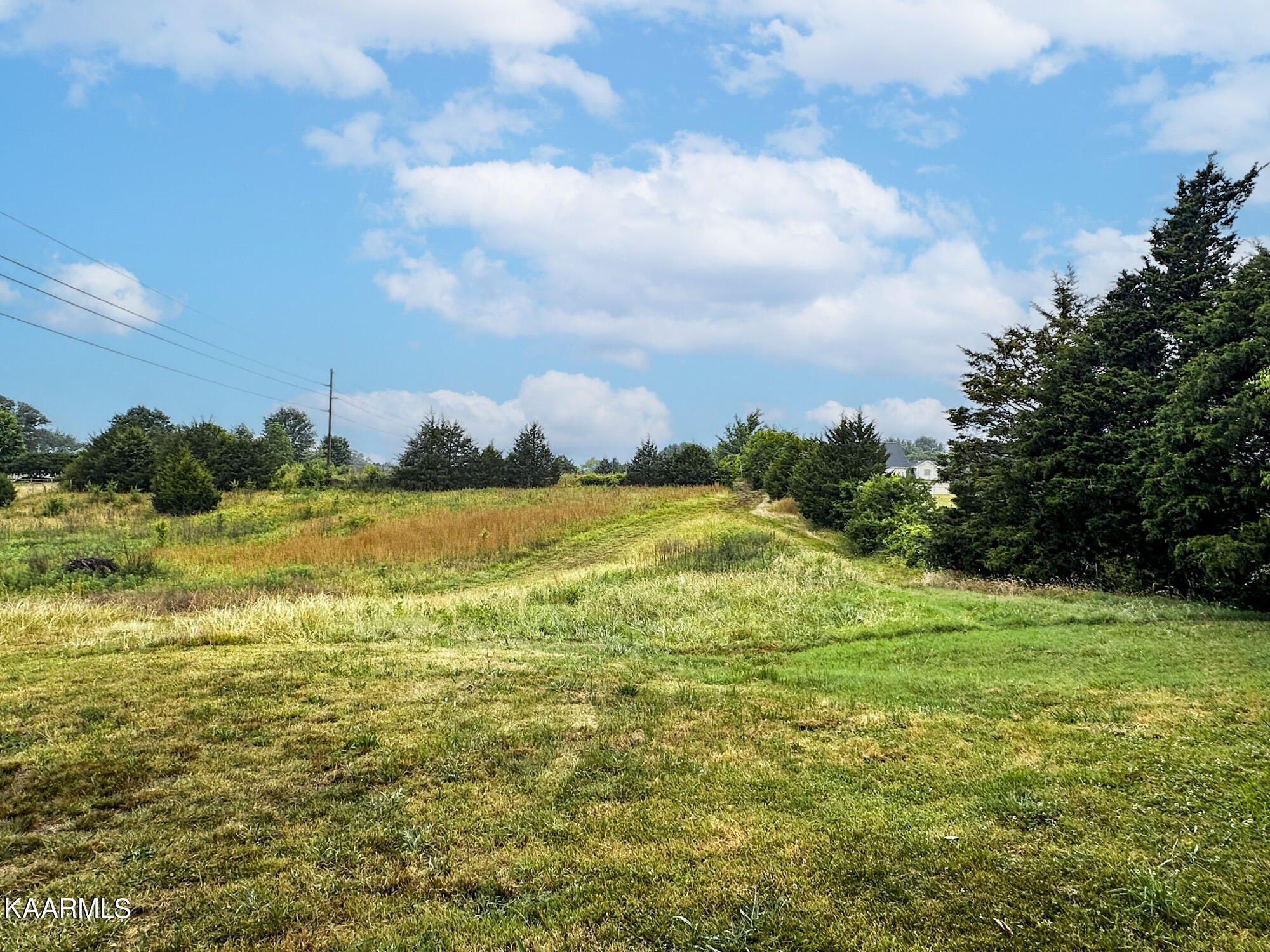 Tarr Road Talbott, TN 37877 - Photo 10 of 20 11