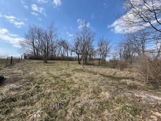 200 Prescott Road Paris, KY 40361 - Photo 13 of 16 thumbnail_IMG_5536