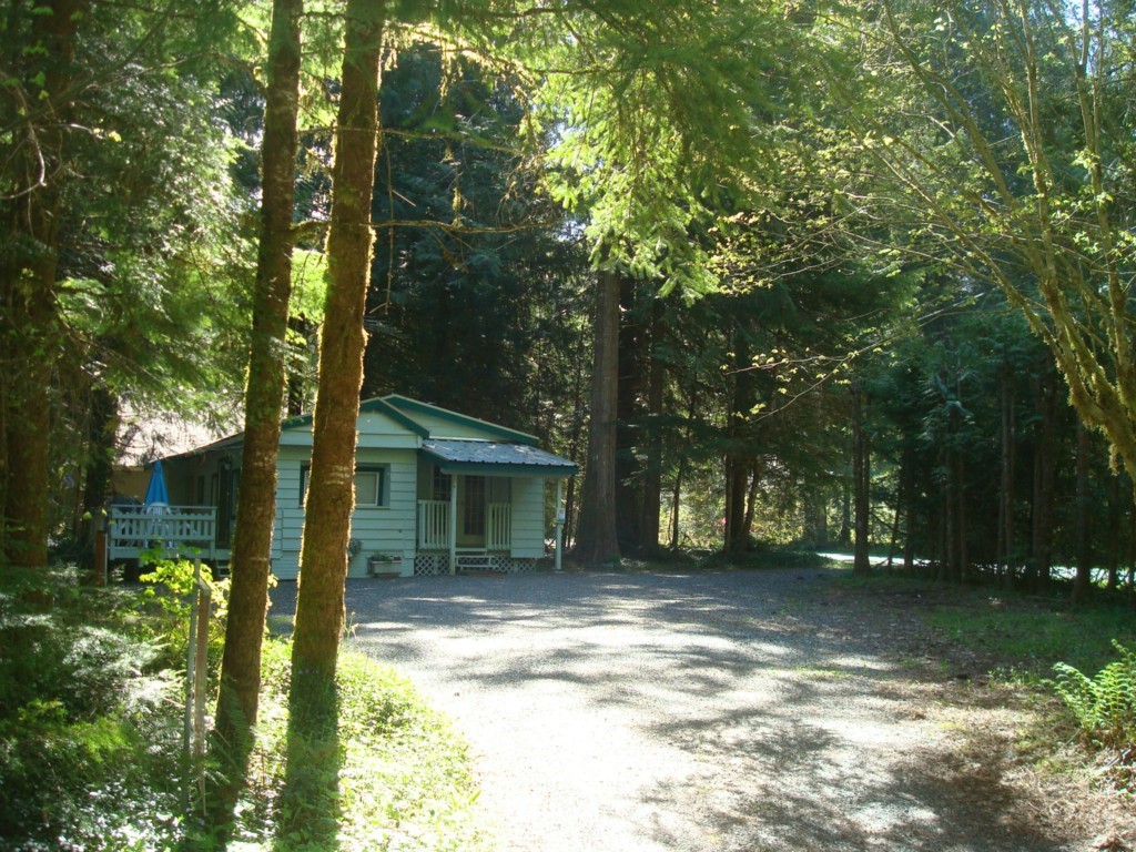 13006 Welcome Road Glacier, WA 98244 - Photo 2 of 15 Gallery Image 2