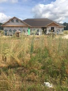 4075 Queen Chapel Road Dalzell, SC 29040 - Photo 1 of 1
