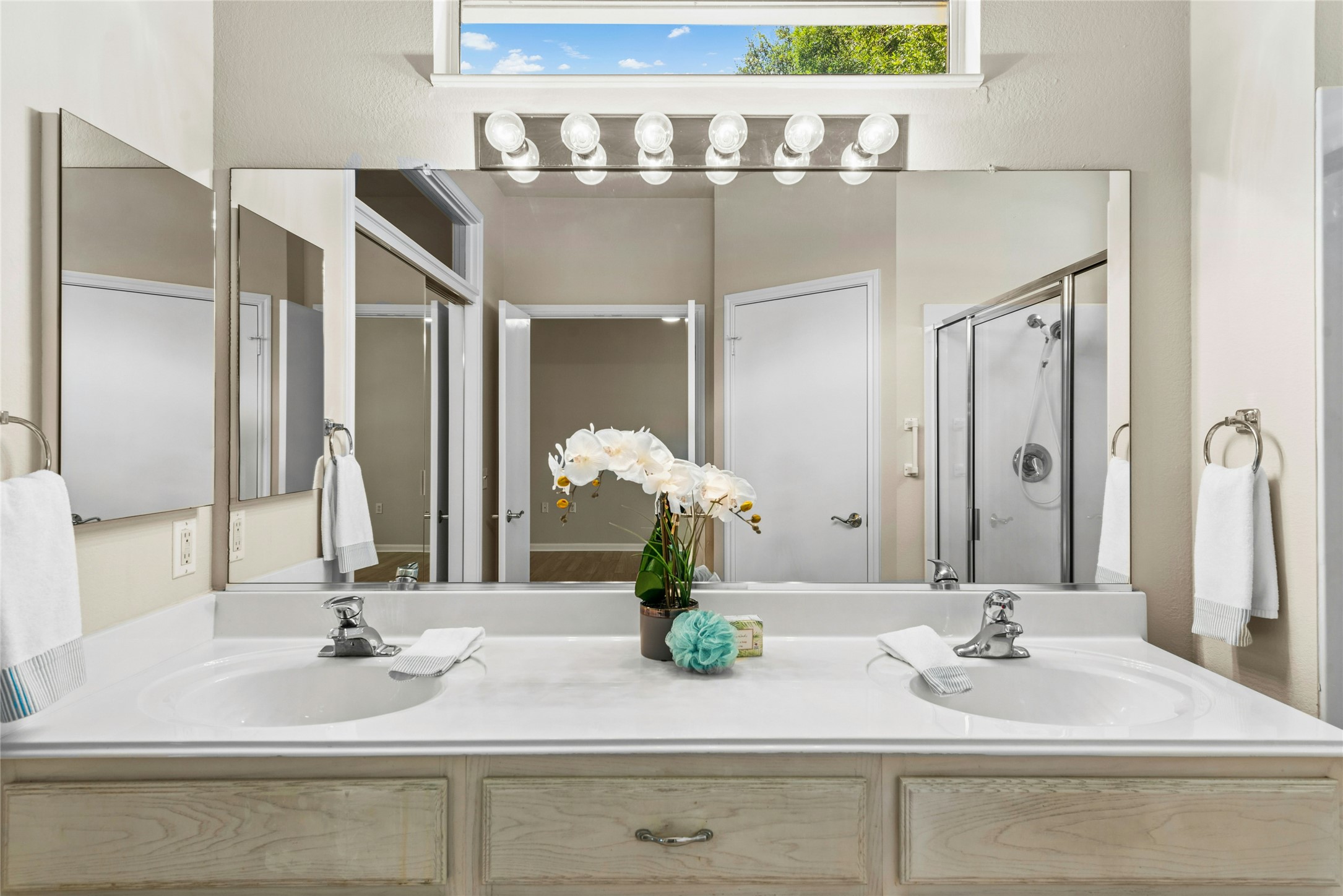 104 Anemone Way Georgetown, TX 78633 - Photo 19 of 28