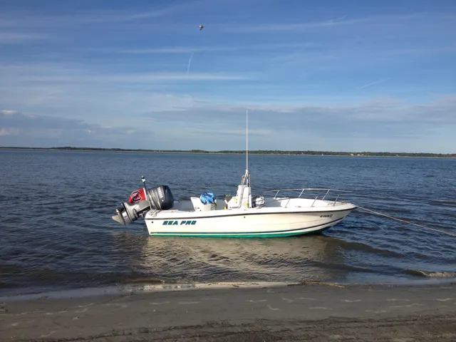 $949,480 | 7 Gun Bluff Road, Edisto Island, SC 29438