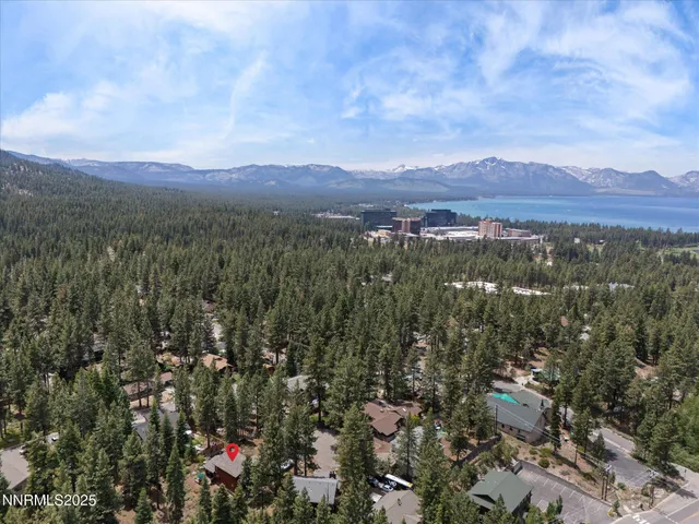 a view of a yard with plants and trees
