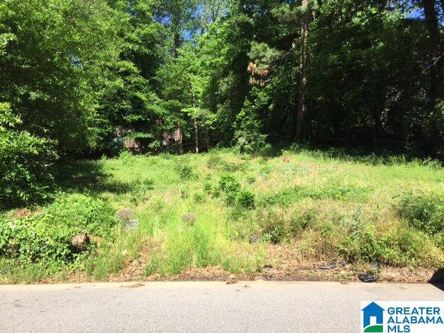 3406 Avalon Road, Unit LOT 4D Birmingham, AL 35209 - Photo 1 of 2