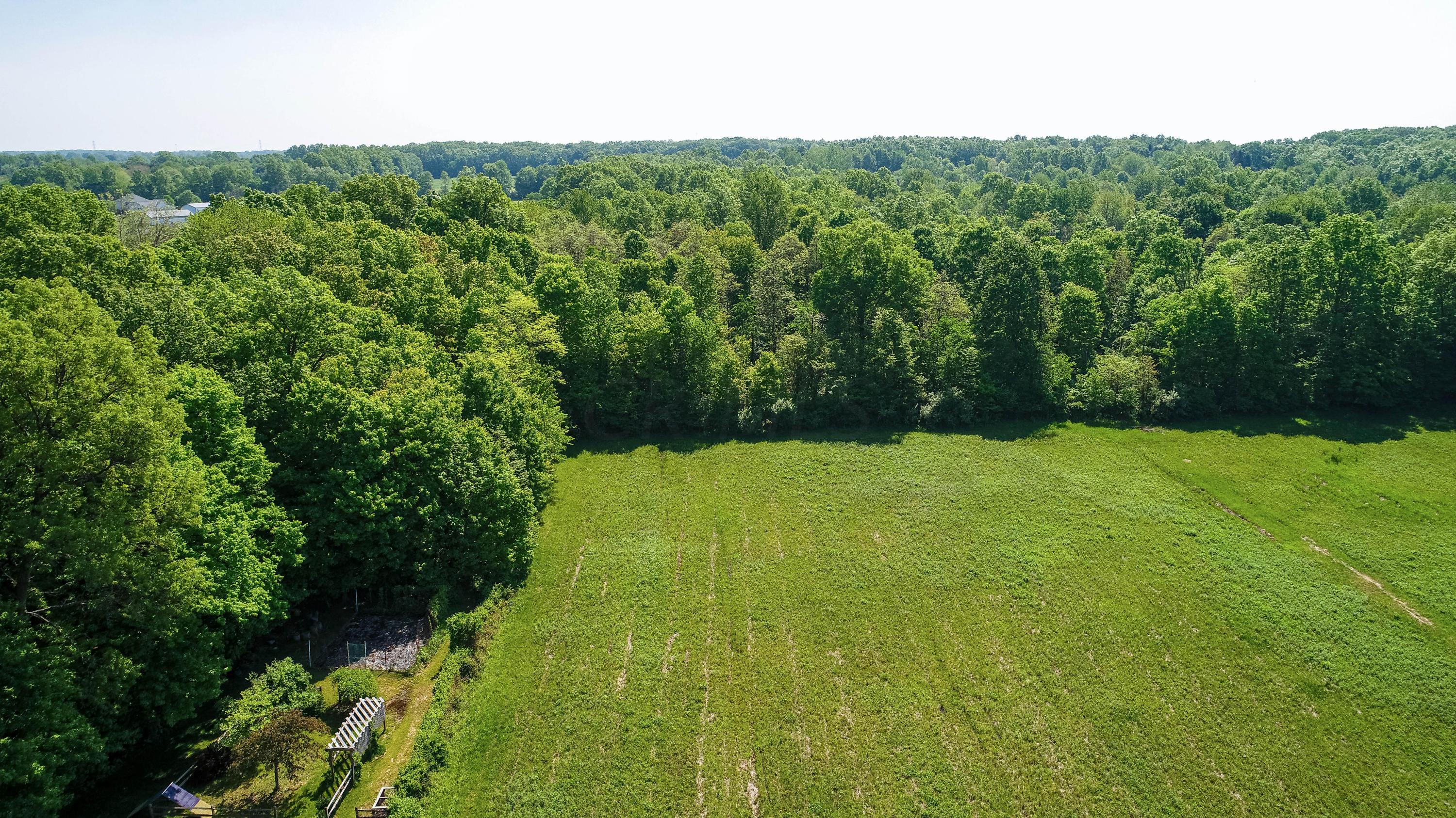 5325 Red Bank Road, Unit LOT #2 Galena, OH 43021 - Photo 23 of 35