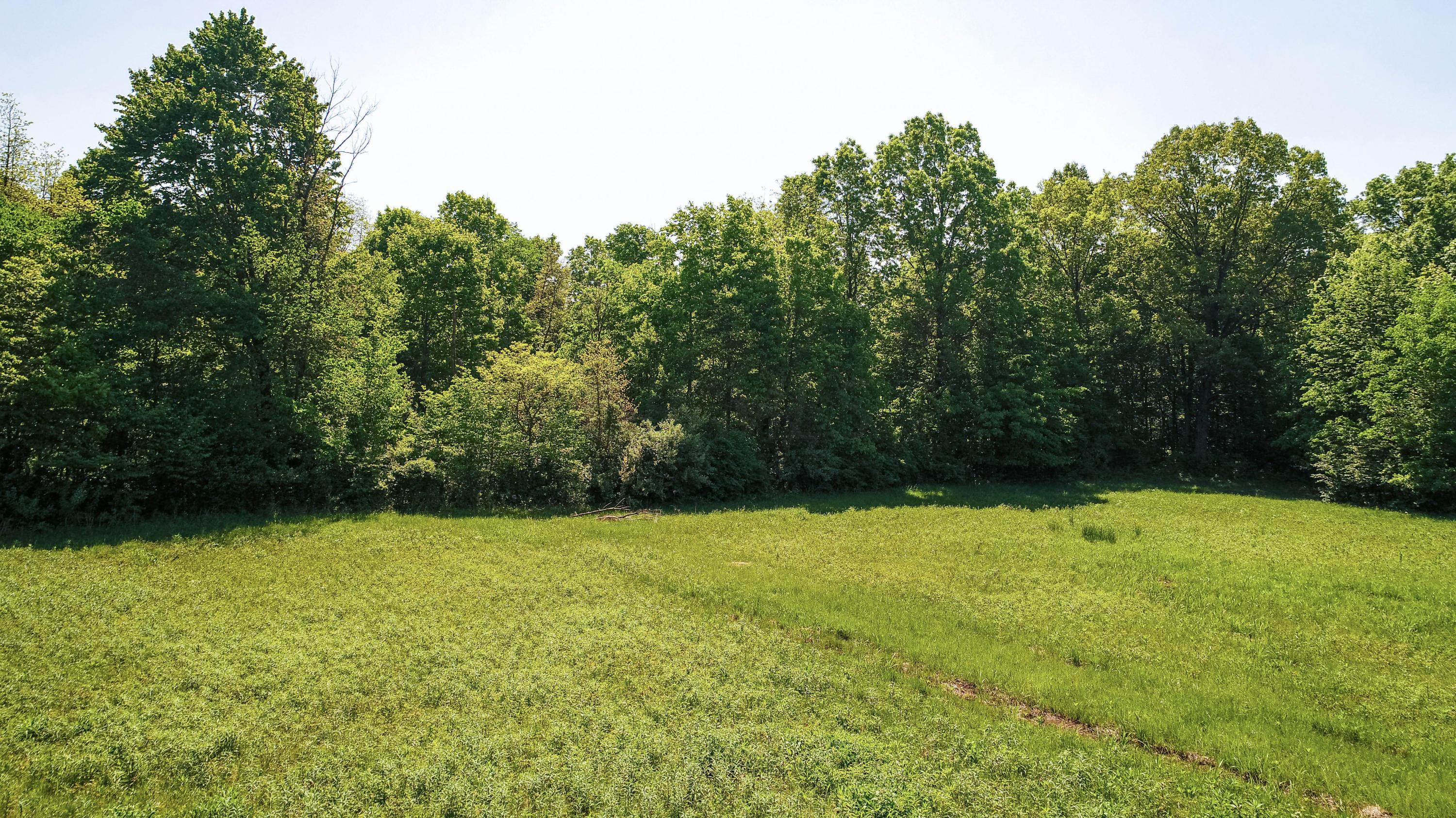 5325 Red Bank Road, Unit LOT #2 Galena, OH 43021 - Photo 35 of 35