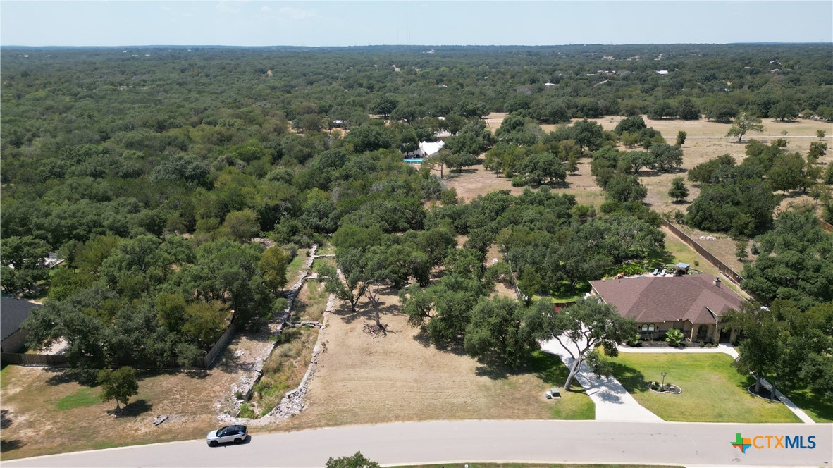 8378 Spring Creek Loop Salado, TX 76571 - Photo 4 of 12 an aerial view of residential houses with outdoor space
