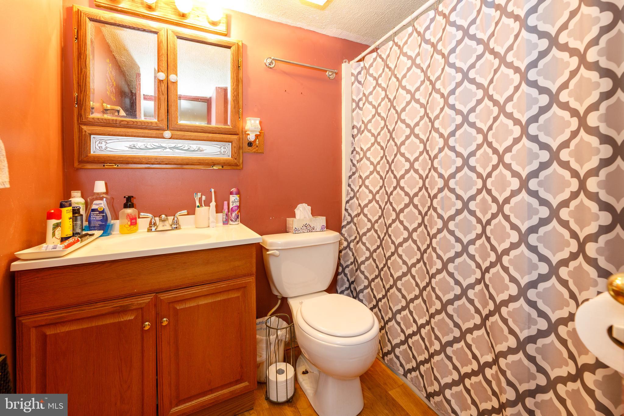 706 Camp Road Denton, MD 21629 - Photo 11 of 20 a bathroom with a sink a toilet and a shower curtain