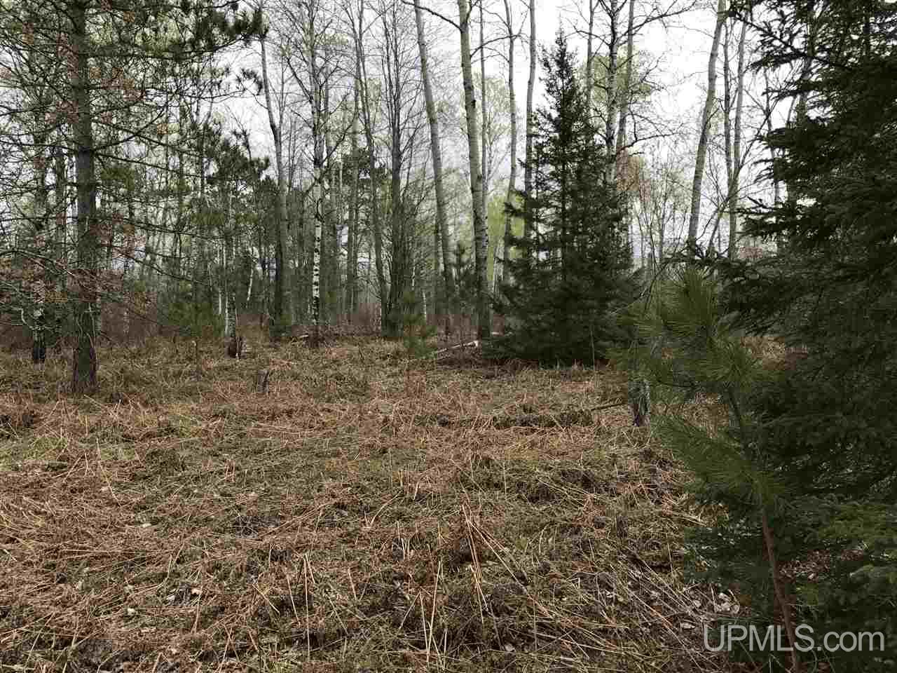 40-ac Kelso Road Crystal Falls, MI 49920 - Photo 9 of 21
