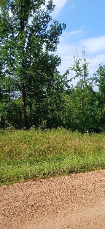 10-ac River Road Boyd, WI 54726 - Photo 1 of 13