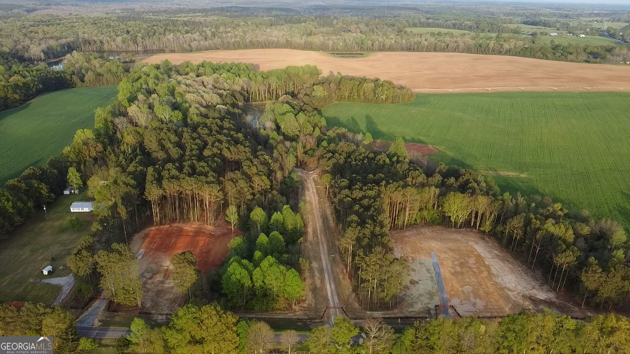 Tract 9 Ramah Church Road, Unit 9 Barnesville, GA 30204 - Photo 2 of 6 a view of lake with green space