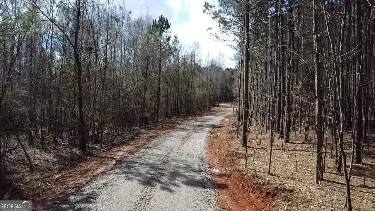 Tract 9 Ramah Church Road, Unit 9 Barnesville, GA 30204 - Photo 4 of 6 a view of outdoor space with green space