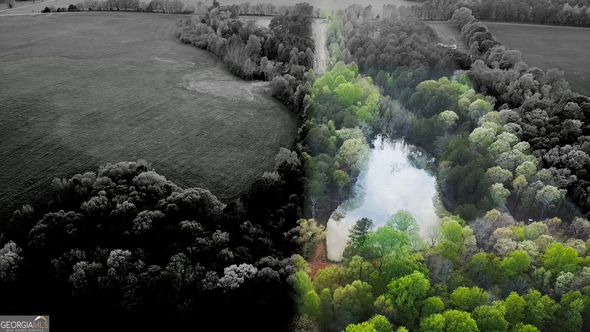 Tract 9 Ramah Church Road, Unit 9 Barnesville, GA 30204 - Photo 5 of 6 a picture of flowers