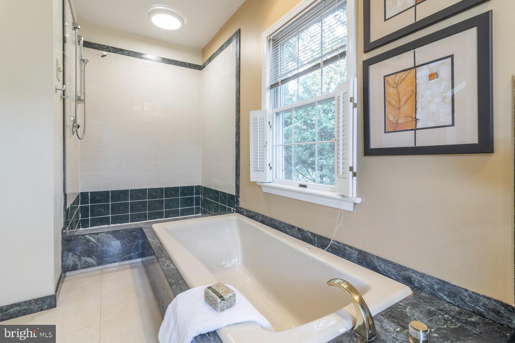 276 Stump Road North Wales, PA 19454 - Photo 46 of 71 Soaking Tub in Marble