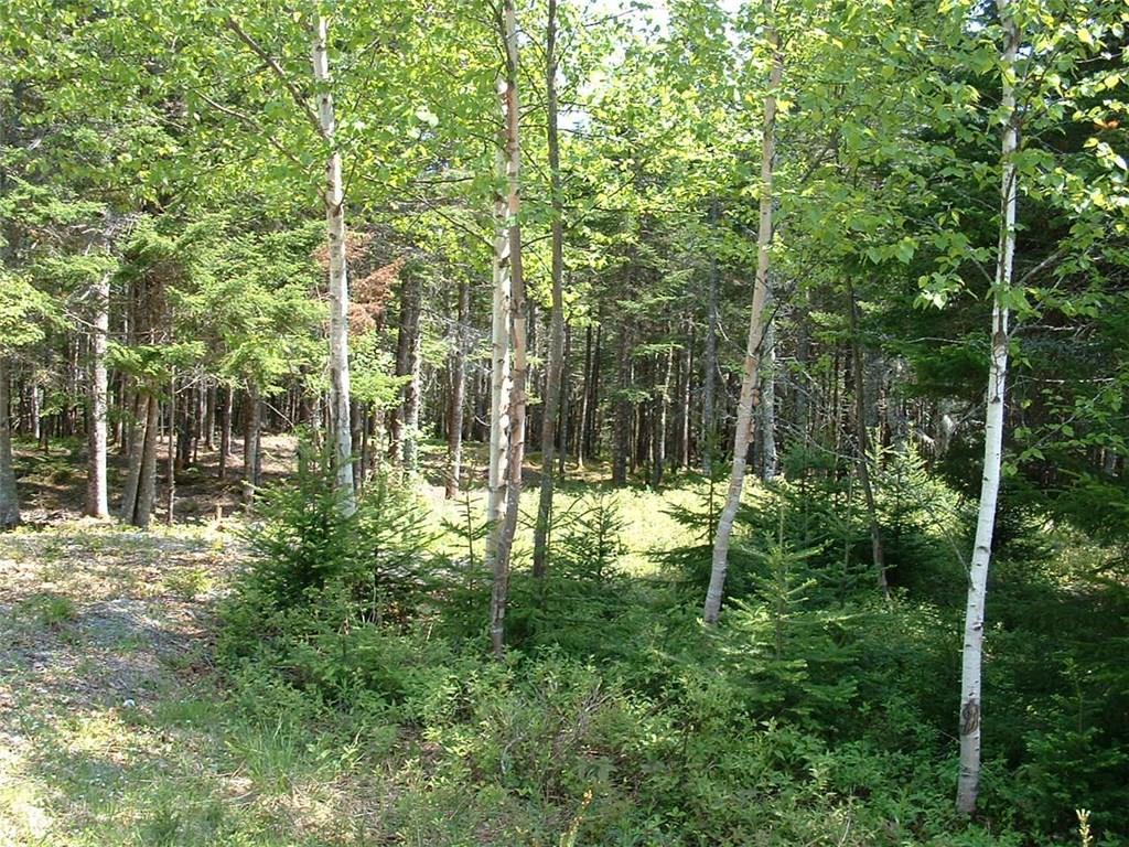 Lot 29 Yoho Head Road Machiasport, ME 04655 - Photo 3 of 14 Photo
