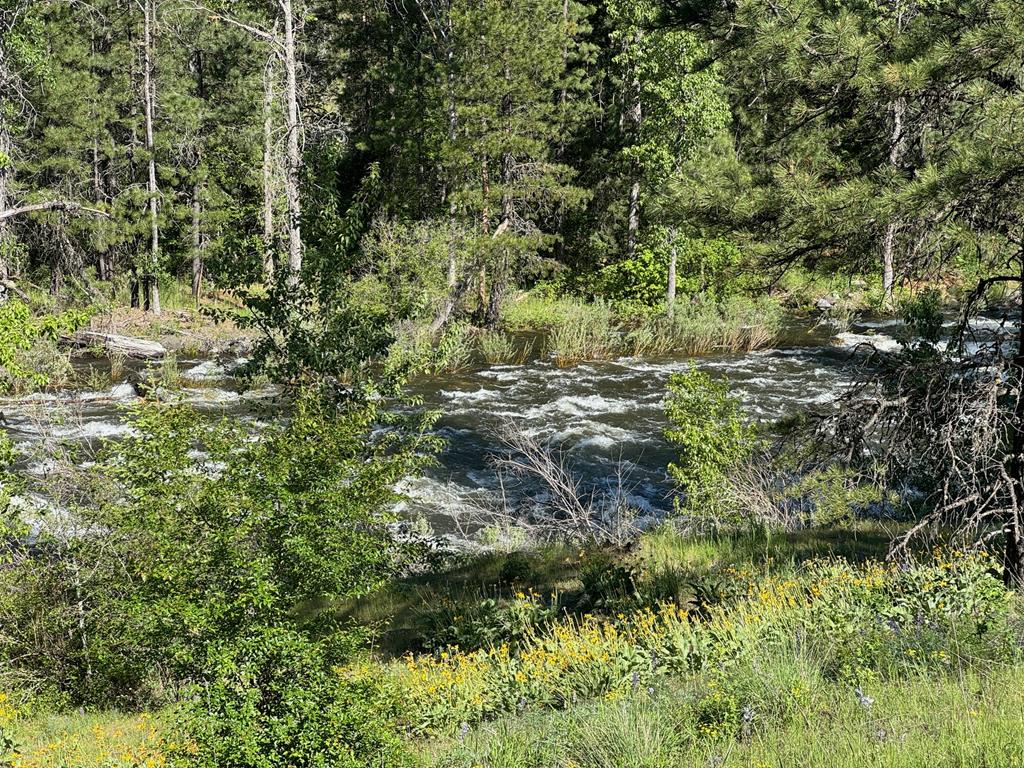 Tbd Elk Lake Road New Meadows, ID 83654 - Photo 2 of 24