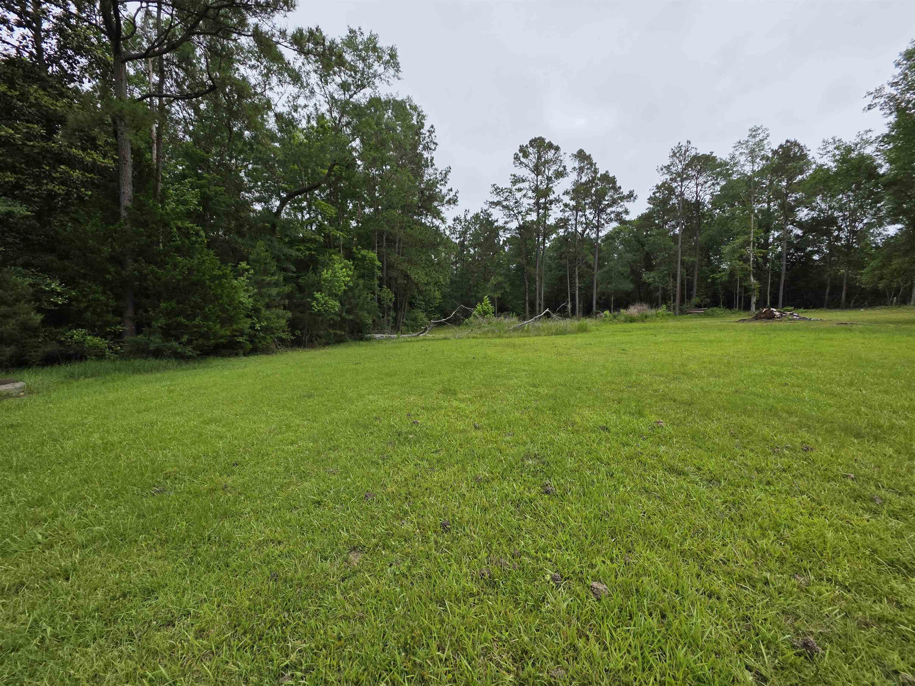 855 Knupple Road Silsbee, TX 77656 - Photo 6 of 7