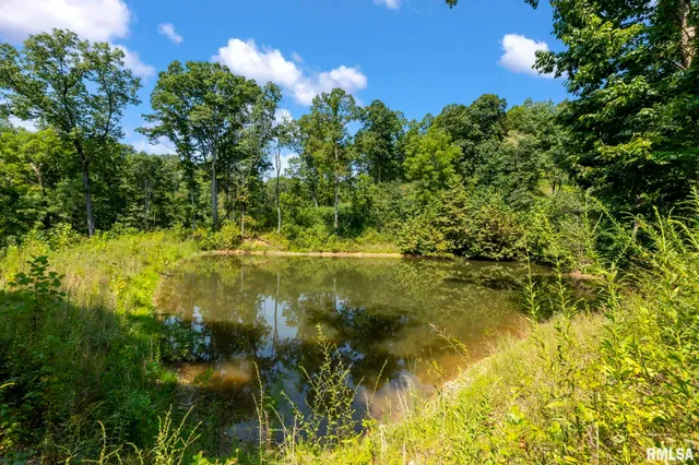 $450,000 | 20601 Maggie Lane, Olive Branch, IL 62969