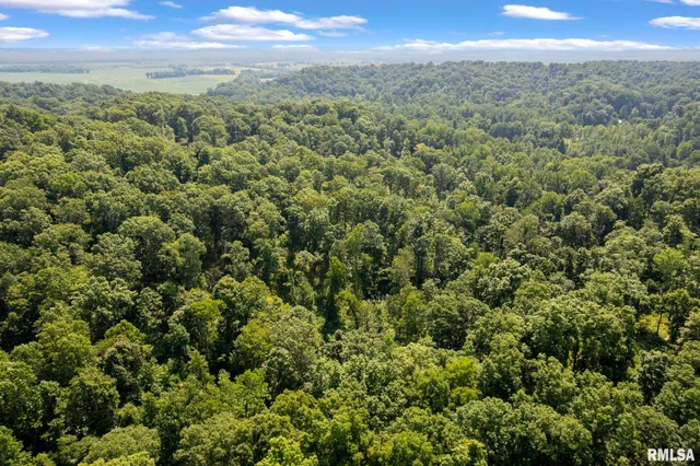 $450,000 | 20601 Maggie Lane, Olive Branch, IL 62969