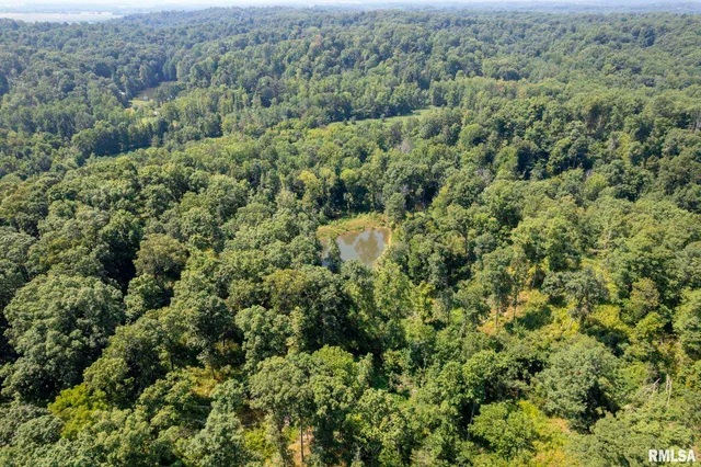 $450,000 | 20601 Maggie Lane, Olive Branch, IL 62969