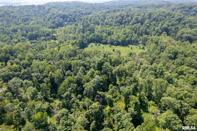 $450,000 | 20601 Maggie Lane, Olive Branch, IL 62969