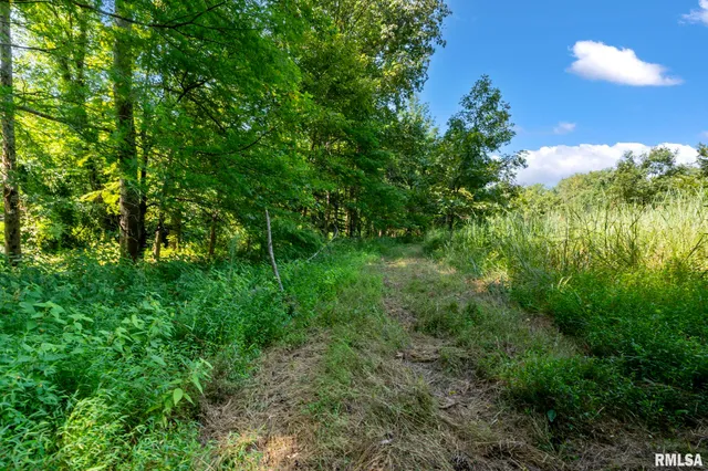 $450,000 | 20601 Maggie Lane, Olive Branch, IL 62969