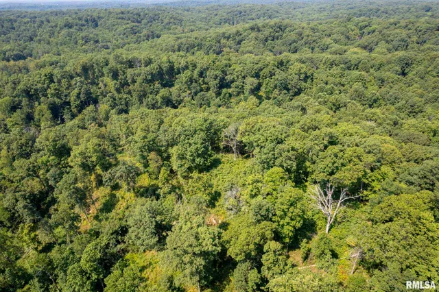 $450,000 | 20601 Maggie Lane, Olive Branch, IL 62969