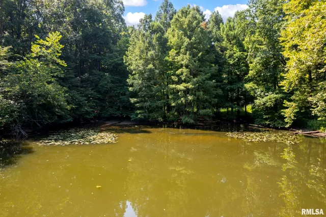 $450,000 | 20601 Maggie Lane, Olive Branch, IL 62969