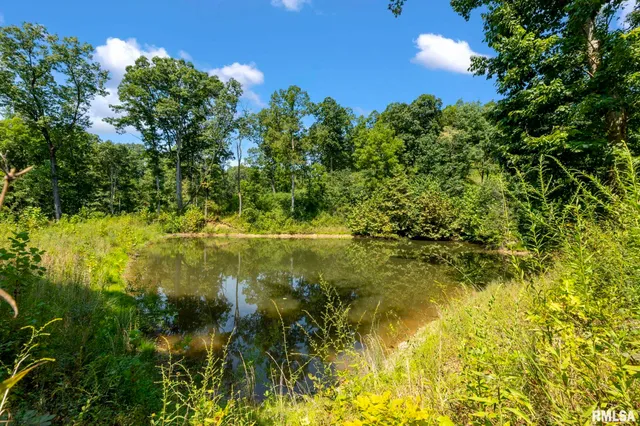 $450,000 | 20601 Maggie Lane, Olive Branch, IL 62969