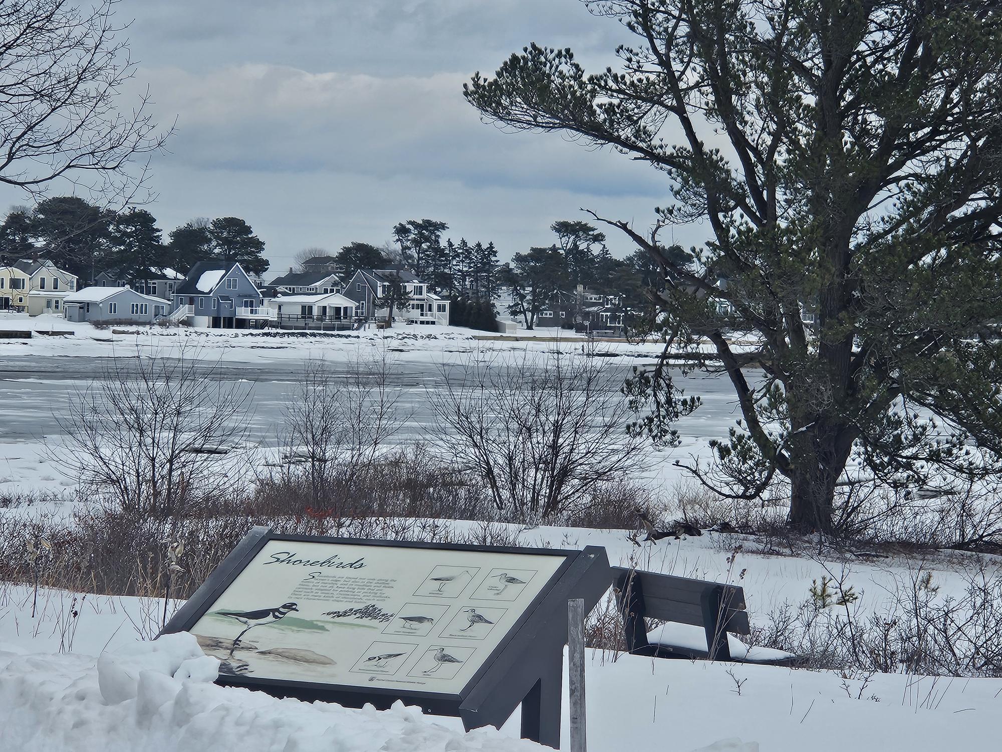 8 Days Landing Biddeford, ME 04005 - Photo 59 of 87 20260211_122111