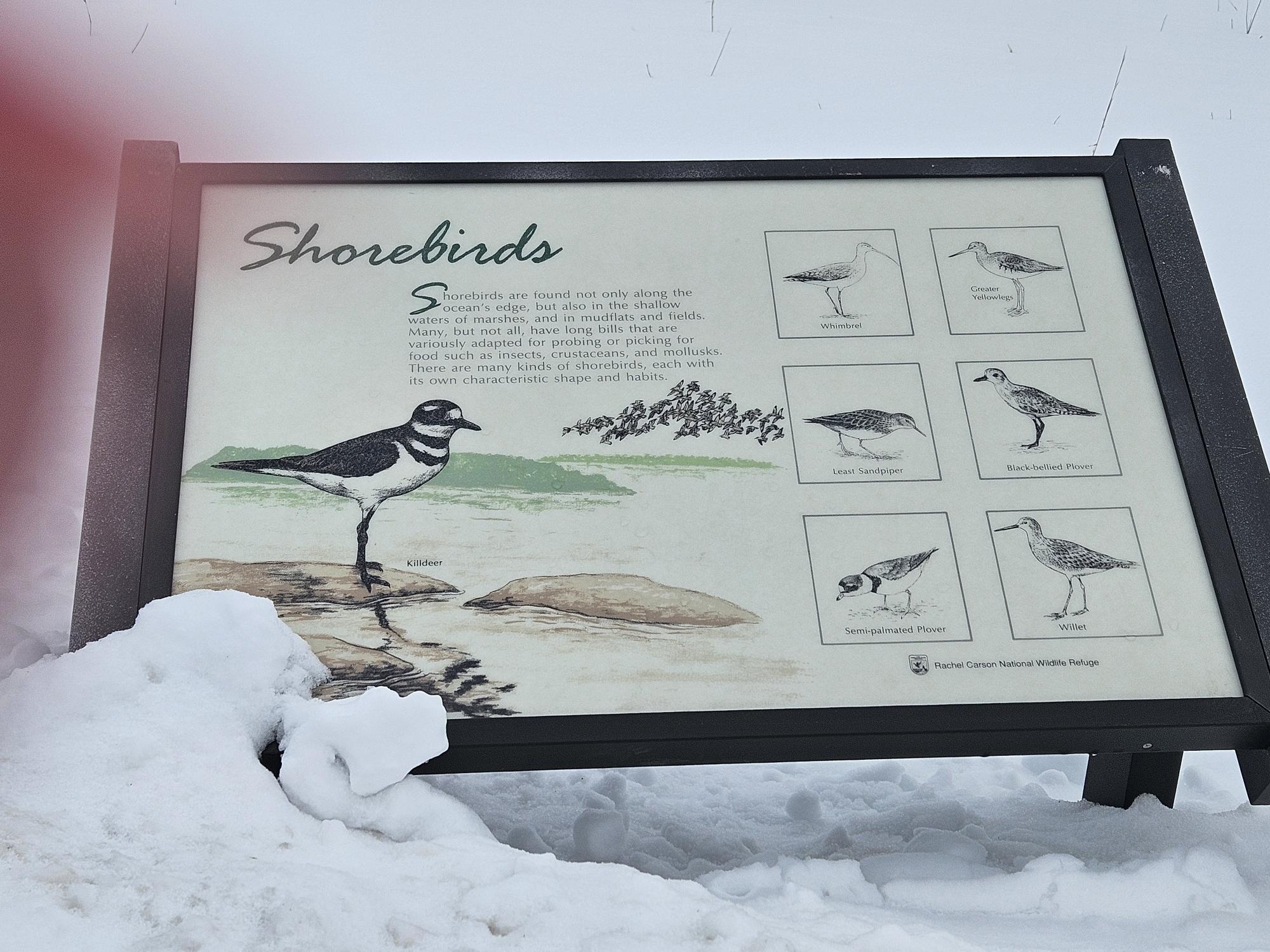 8 Days Landing Biddeford, ME 04005 - Photo 60 of 87 20260211_121940