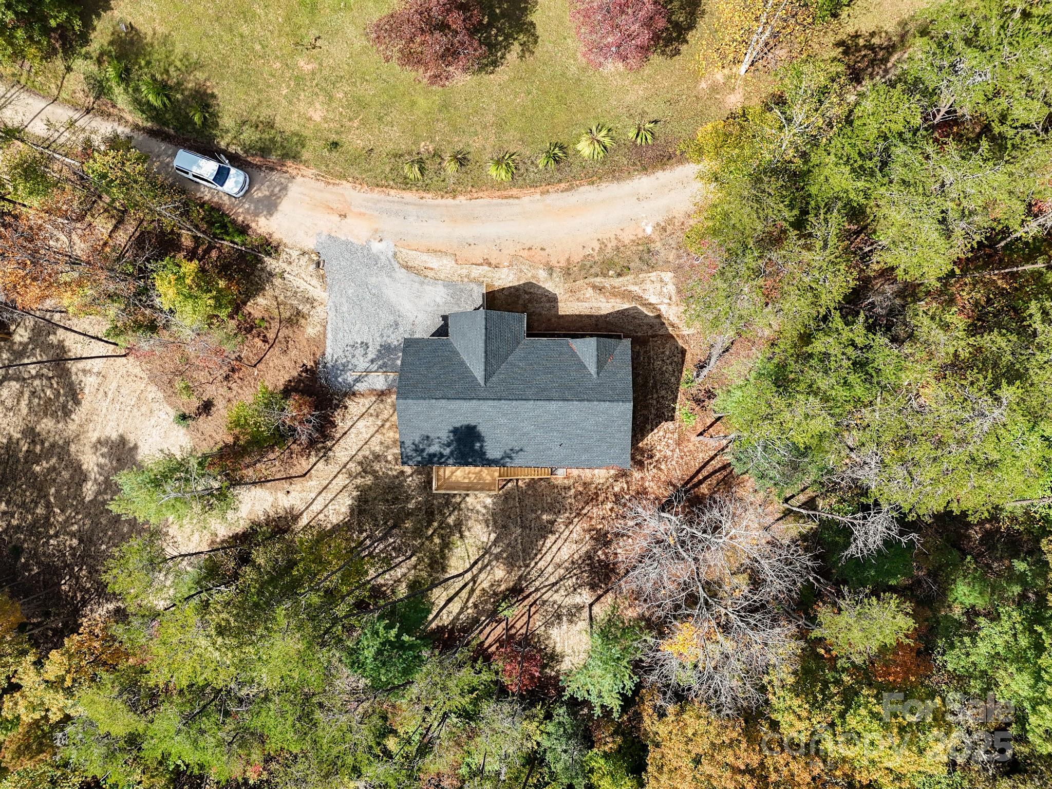 145 Burley Ridge Candler, NC 28715 - Photo 39 of 43 a view of a yard with plants