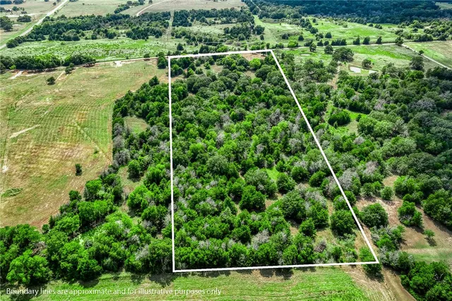 an aerial view of a house with a plant