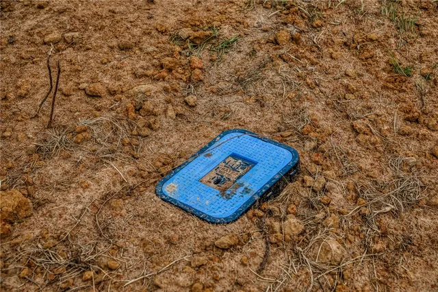 a blue bench sitting in the middle of a forest