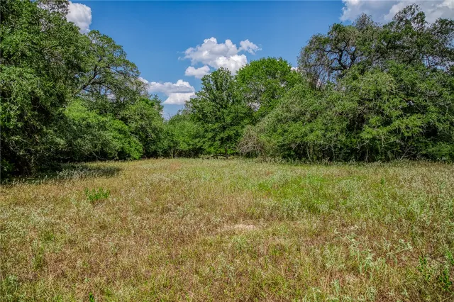 a view of a big yard with large trees