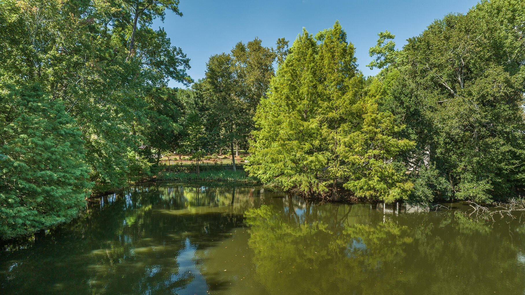 933 Lakeview Drive Mount Pleasant, SC 29464 - Photo 78 of 79 933Lakeview-78