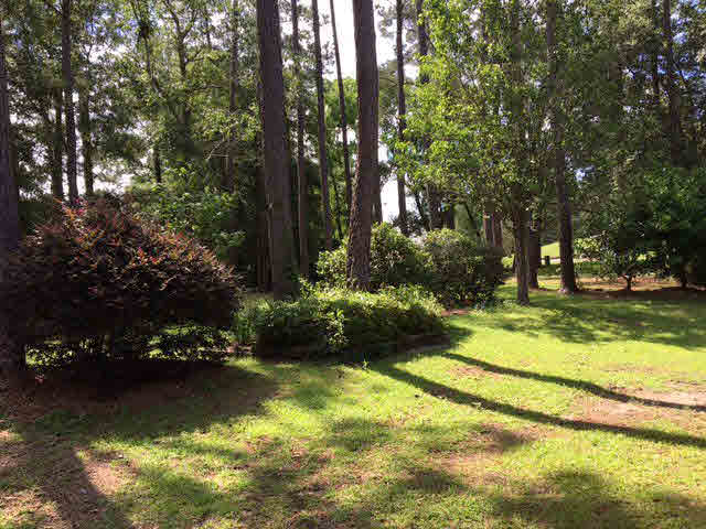 103 Betty Circle Daphne, AL 36526 - Photo 2 of 15 backyard